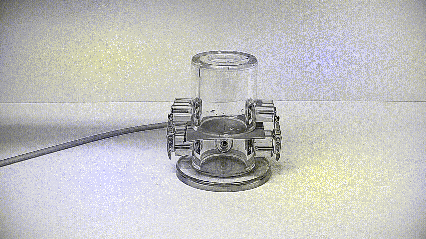 1d39290776e979b558e61a2e8b1df57a_1648689699_1578.gif